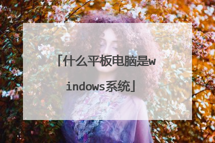 什么平板电脑是windows系统