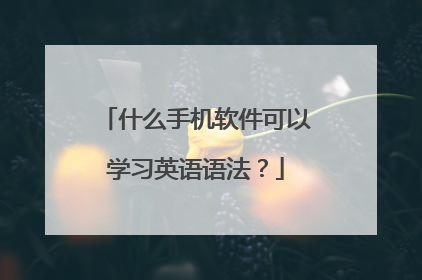 什么手机软件可以学习英语语法?
