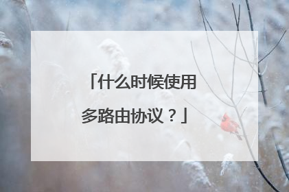 什么时候使用多路由协议?