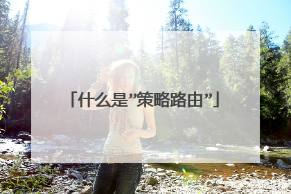 什么是”策略路由”