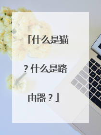 什么是猫?什么是路由器?