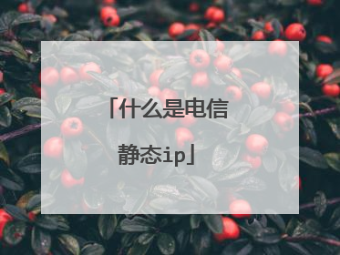 什么是电信静态ip