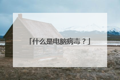 什么是电脑病毒?