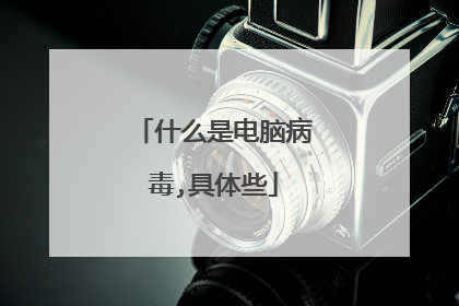 什么是电脑病毒,具体些