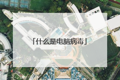 什么是电脑病毒