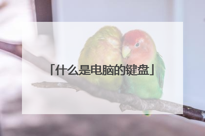 什么是电脑的键盘