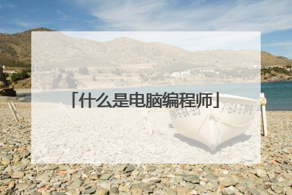 什么是电脑编程师