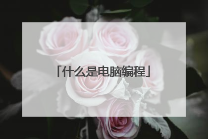 什么是电脑编程
