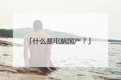 什么是电脑国产?
