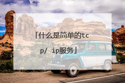 什么是简单的tcp/ ip服务