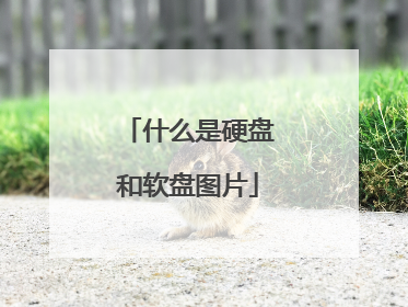 什么是硬盘和软盘图片