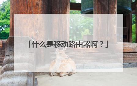 什么是移动路由器啊？