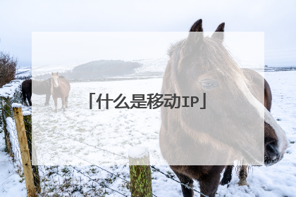 什么是移动IP
