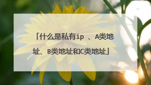 什么是私有ip 、A类地址、B类地址和C类地址