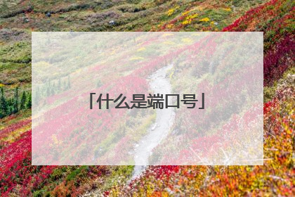 什么是端口号