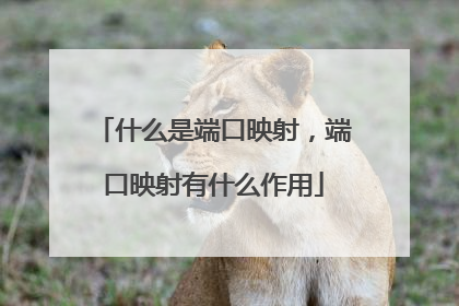 什么是端口映射,端口映射有什么作用