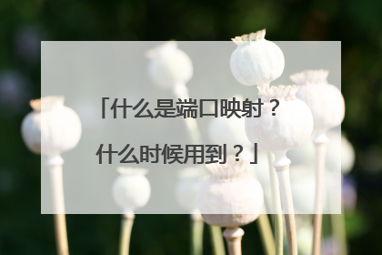 什么是端口映射?什么时候用到?