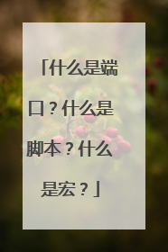 什么是端口？什么是脚本？什么是宏？