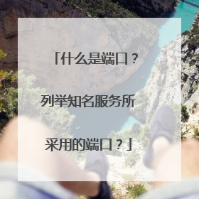 什么是端口？列举知名服务所采用的端口？