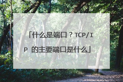 什么是端口?TCP/IP 的主要端口是什么
