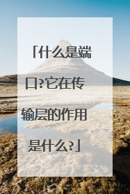 什么是端口?它在传输层的作用是什么?