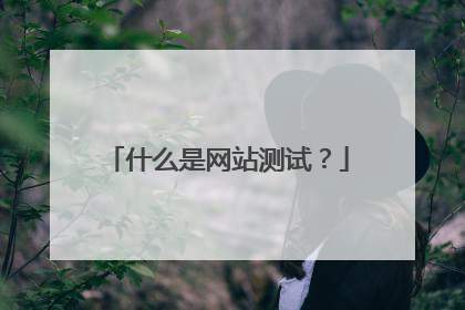 什么是网站测试？