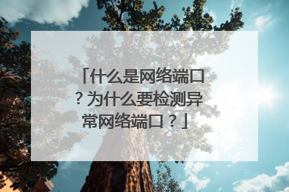 什么是网络端口?为什么要检测异常网络端口?