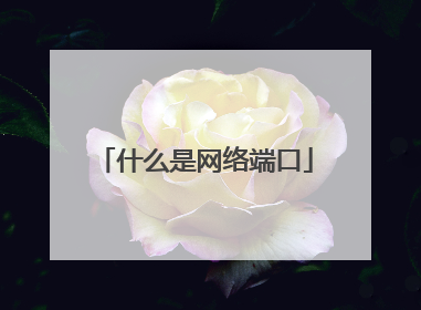 什么是网络端口
