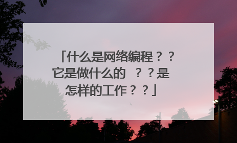 什么是网络编程??它是做什么的 ??是怎样的工作??