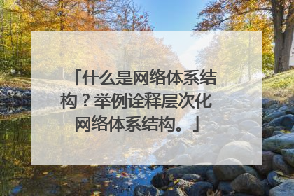 什么是网络体系结构？举例诠释层次化网络体系结构。