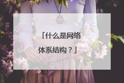 什么是网络体系结构?