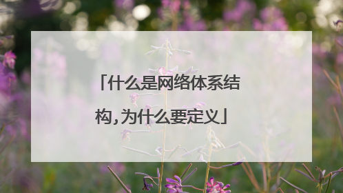 什么是网络体系结构,为什么要定义