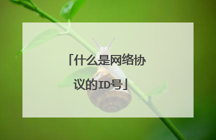 什么是网络协议的ID号