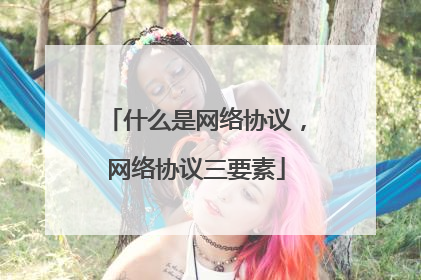 什么是网络协议，网络协议三要素