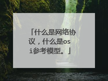 什么是网络协议,什么是osi参考模型。