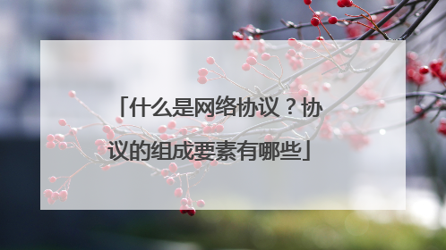 什么是网络协议?协议的组成要素有哪些