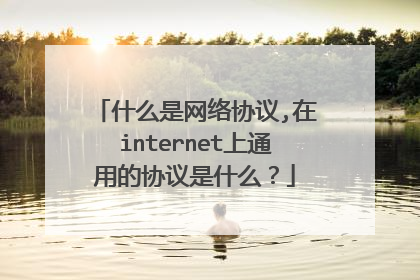 什么是网络协议,在internet上通用的协议是什么?