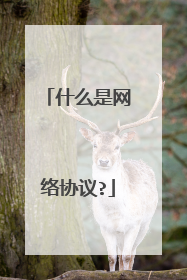 什么是网络协议?