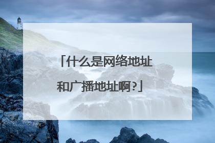 什么是网络地址和广播地址啊?