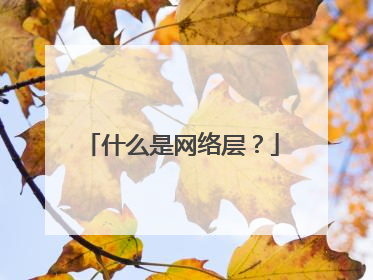 什么是网络层?