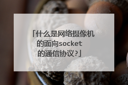 什么是网络摄像机的面向socket的通信协议?