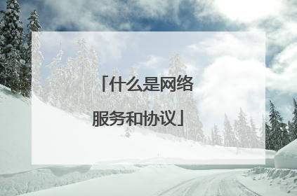 什么是网络服务和协议