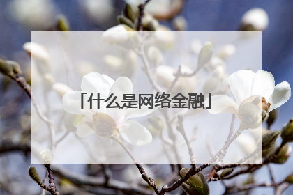 什么是网络金融