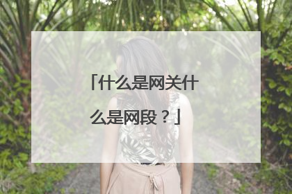 什么是网关什么是网段？