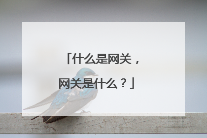 什么是网关，网关是什么？