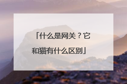 什么是网关？它和猫有什么区别