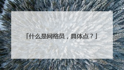 什么是网格员,具体点?