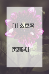 什么是网页测试