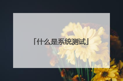 什么是系统测试