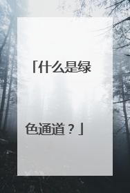 什么是绿色通道?